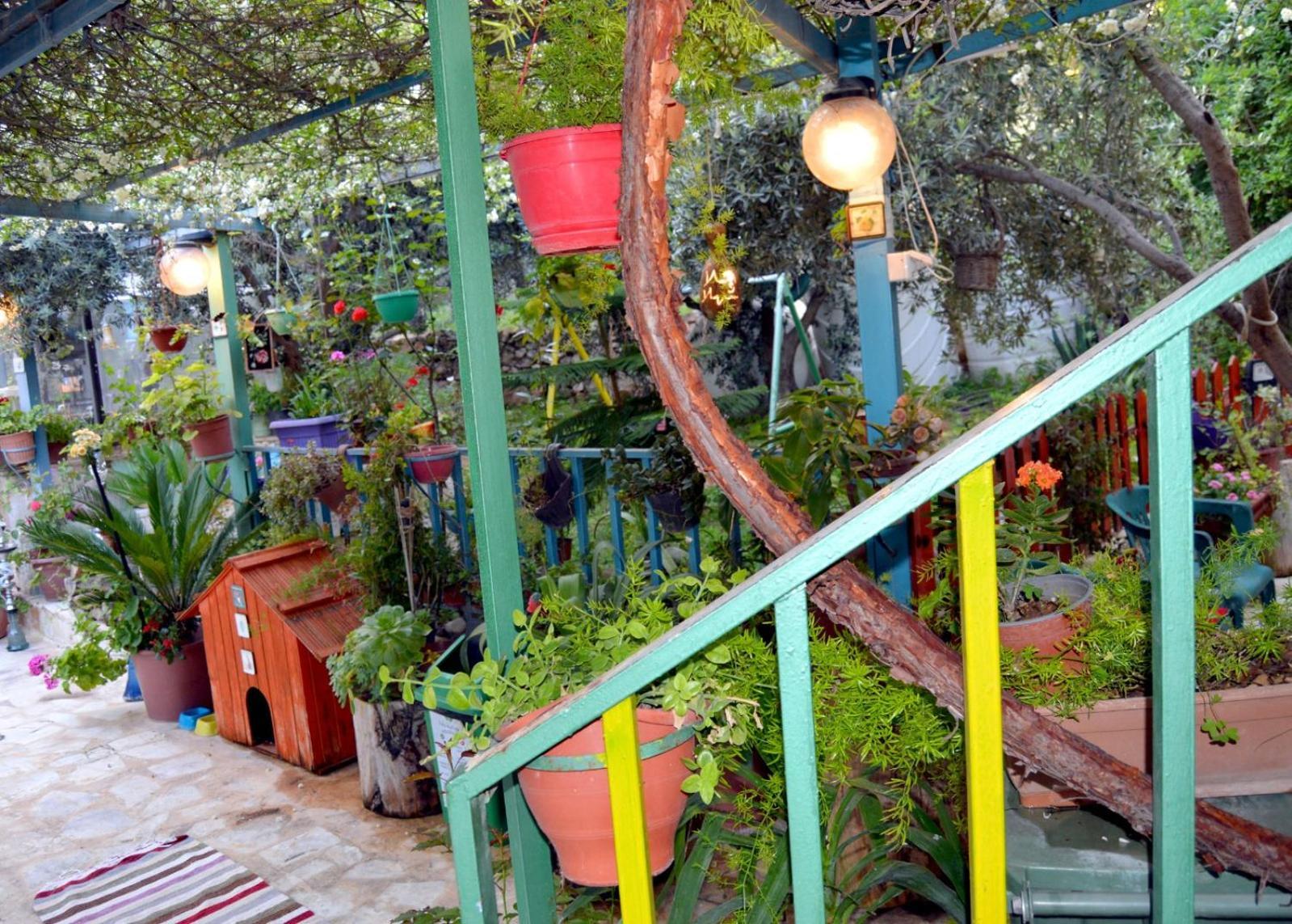 بيت الطبيعة Nature House Jarash Kamer foto